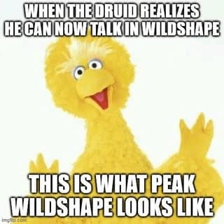 A funny dnd meme with a picture of Big Bird and the caption "This is what peak wildshape looks like."
