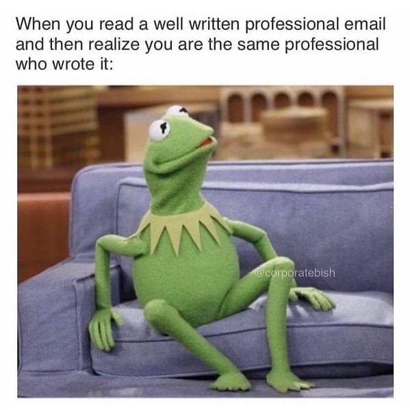 A funny email meme showing a proud Kermit the Frog, representing the feeling of admiring a professional email you just wrote.