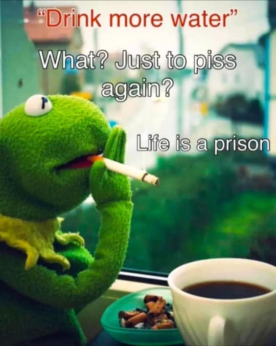 A funny meme of Kermit the Frog smoking, captioned "Drink more water? What? Just to piss again? Life is a prison."