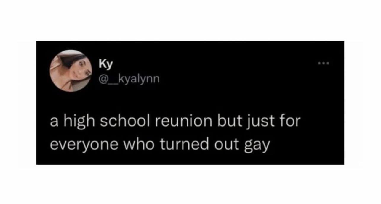A funny meme from a viral tweet proposing a "high school reunion but just for everyone who turned out gay."