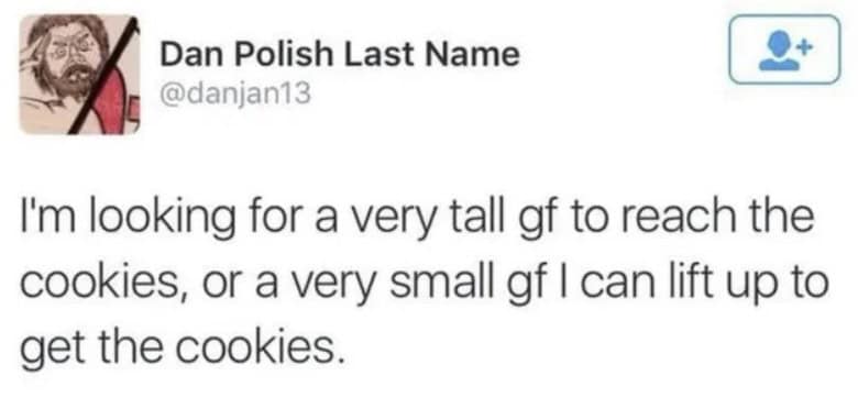 Oddly specific tweet looking for a girlfriend based entirely on cookie accessibility