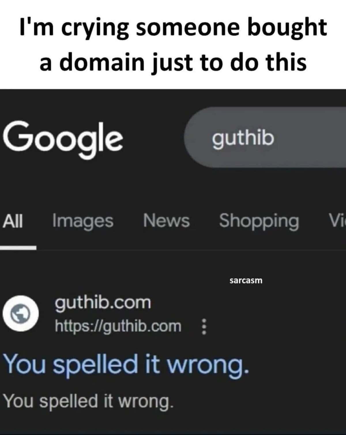 Programming meme showing a website bought just to correct typos