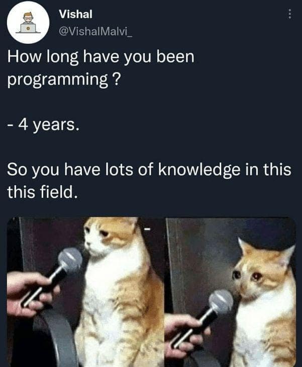 Programming meme about knowing nothing after 4 years of coding