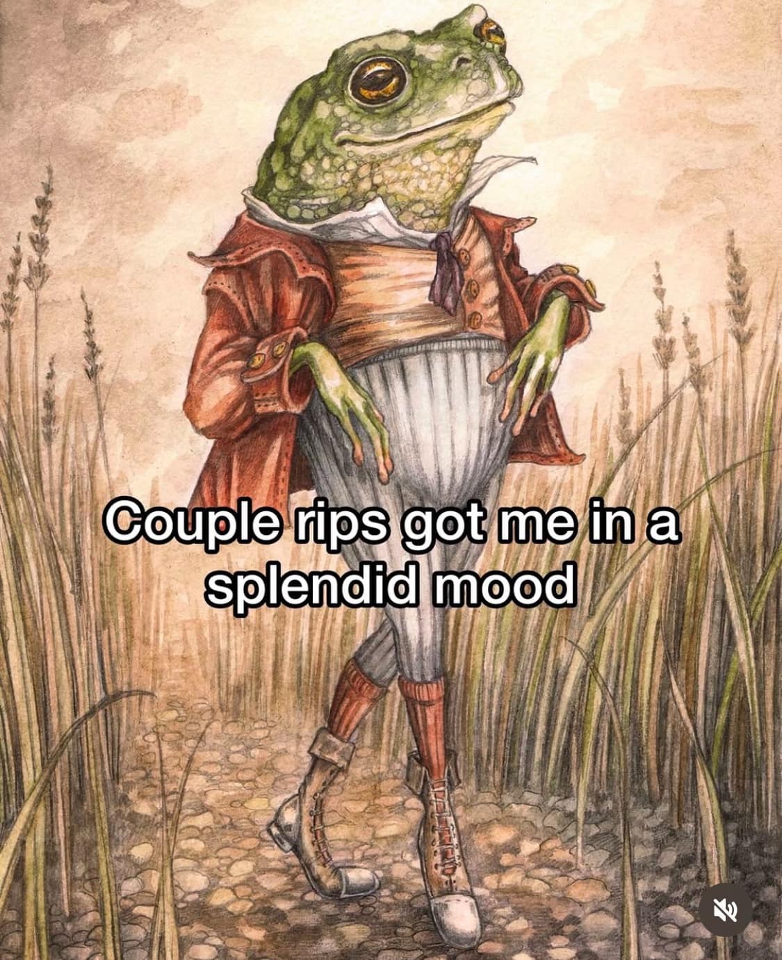 A stoner meme of a dapper frog in a suit, captioned "Couple rips got me in a splendid mood."