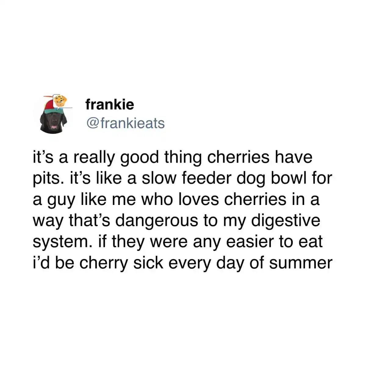 A food meme tweet about cherries having pits acting like a slow feeder dog bowl.