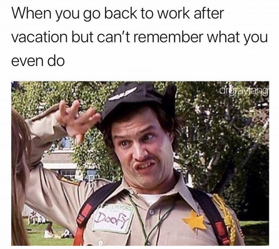 Doofy from Scary Movie saluting confusedly in a work meme about returning.