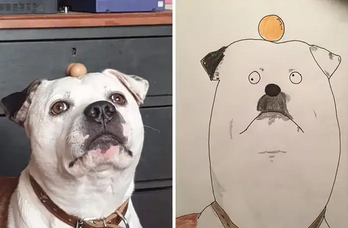 White dog balancing an egg on its head next to a blob sketch.
