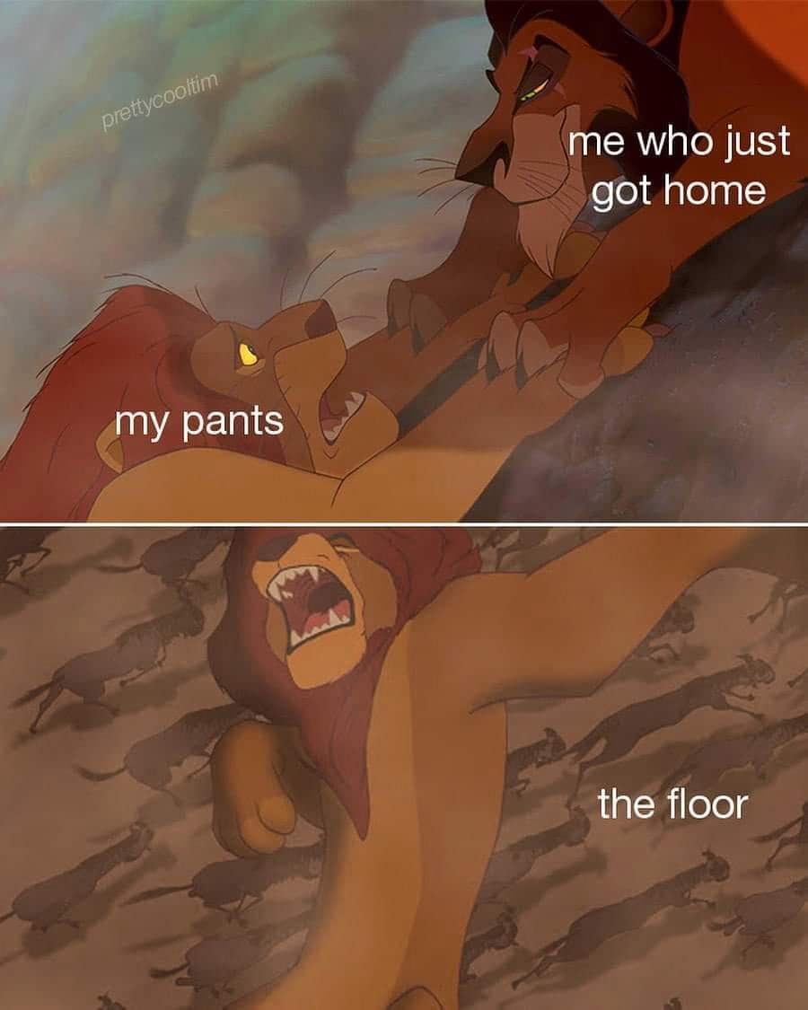 Lion King Scar dropping Mufasa meme representing taking off pants after work.