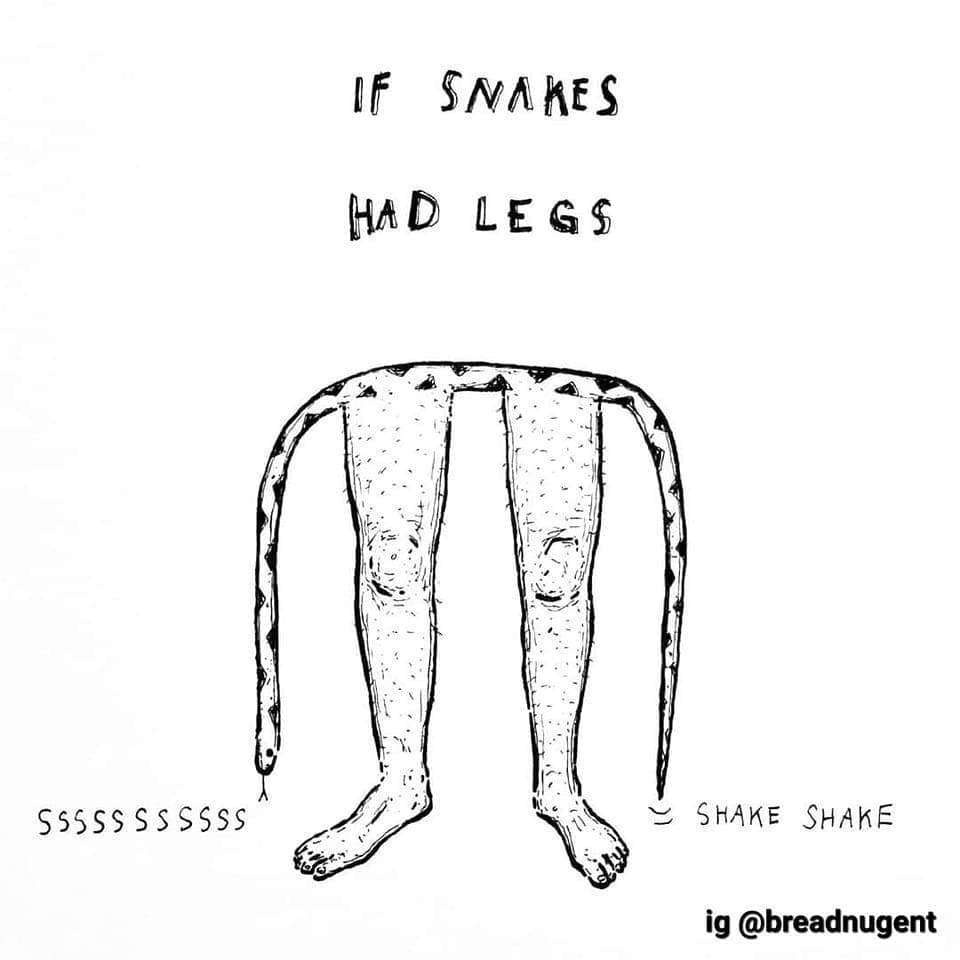 Doodle showing what a snake would look like with long hairy human legs.