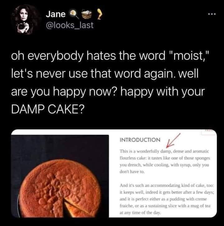 A hilarious meme tweet by Jane proposing we replace the hated word "moist" with "damp" in cake descriptions.