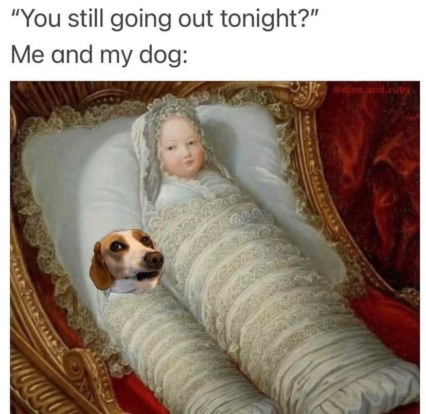 Classical portrait of a swaddled baby with a dog head. Perfect old memes reaction for staying home wrapped in blankets.