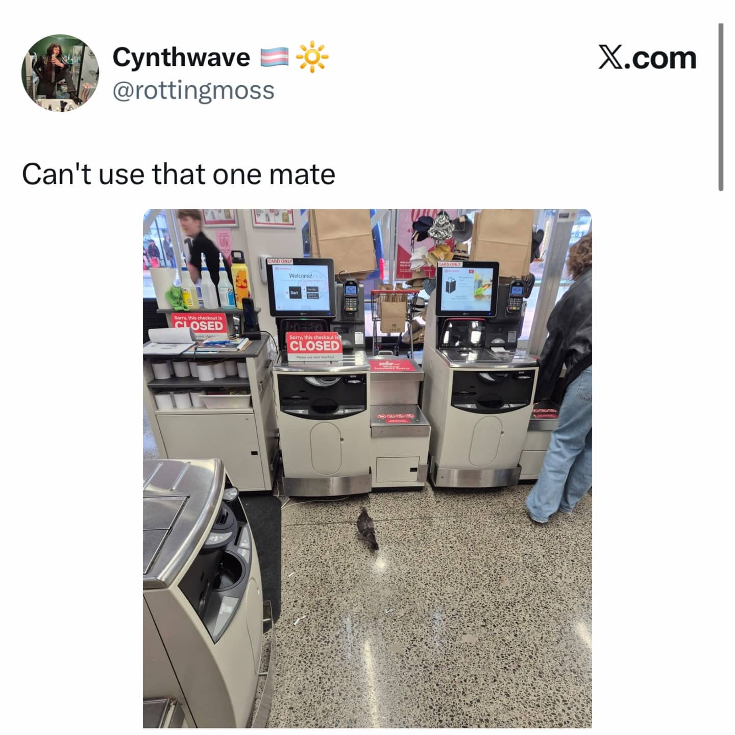 A pigeon standing on the floor in front of a closed self-checkout machine at a grocery store.
