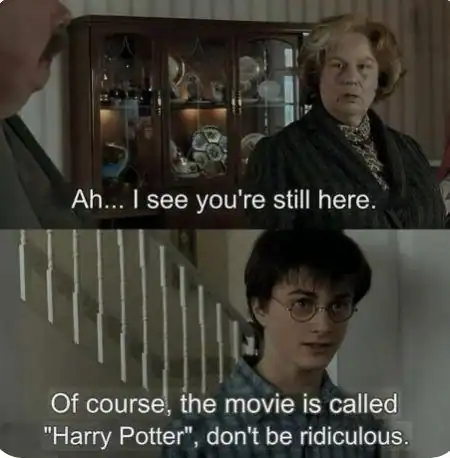A sassy Harry Potter meme where Harry breaks the fourth wall to tell Aunt Marge he is obviously staying because the movie is literally named after him.