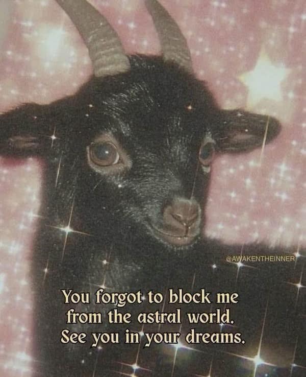 A sparkly, aesthetic meme dump image featuring a cute black baby goat with horns paired with the darkly funny threat: "You forgot to block me from the astral world. See you in your dreams."