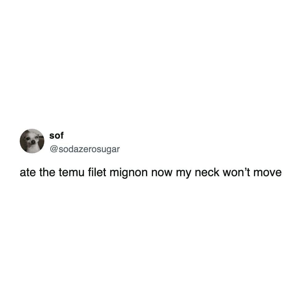 A text-based hilarious meme about the physical consequences of eating a "Temu filet mignon."