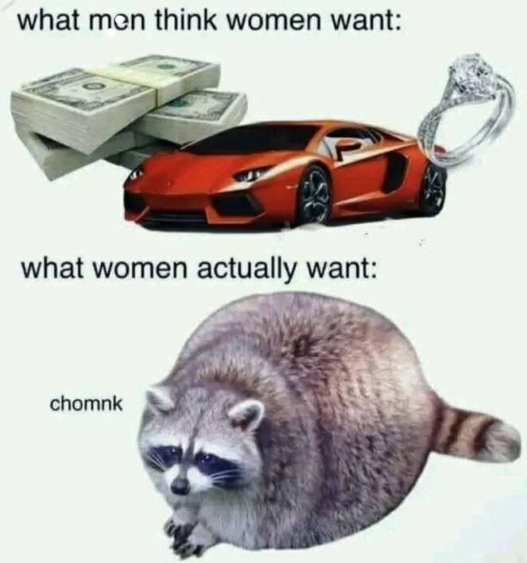 A hilarious meme comparing "what men think women want" (money, cars) to "what women actually want" (a fat raccoon named chomnk).