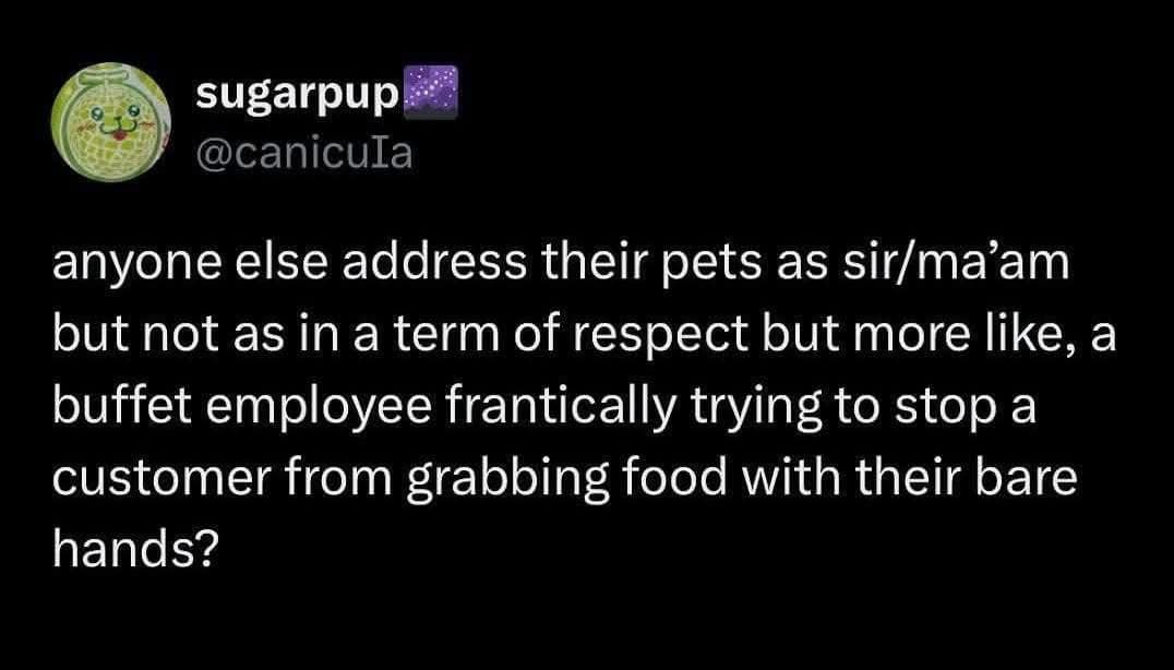 A pet owner meme dump tweet comparing calling a dog "sir/ma'am" to the panic of a buffet employee stopping a customer from grabbing food with bare hands.