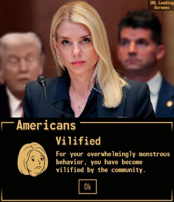 A political real life loading screen using the Fallout reputation system to notify "Americans" that they are "Vilified" for "overwhelmingly monstrous behavior" by the community.