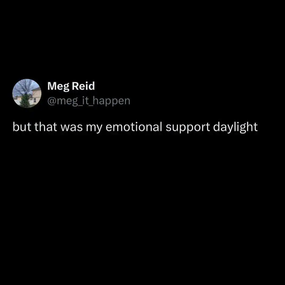 Social media post by Meg Reid mourning the loss of her emotional support daylight.