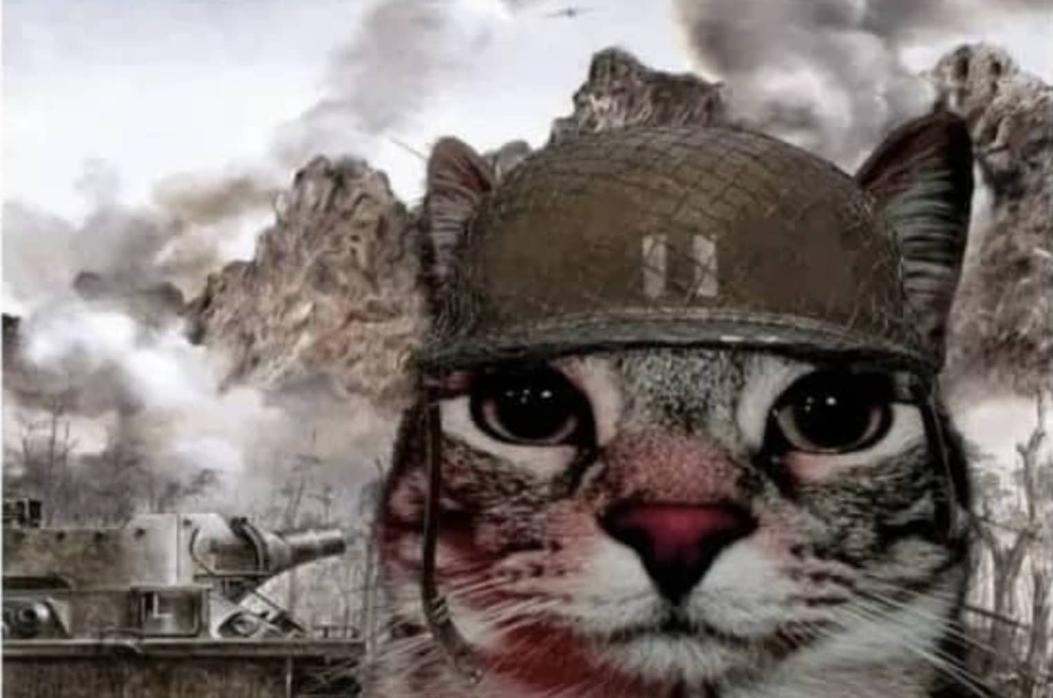 Staring cat wearing a military helmet in a dramatic war zone background with tanks and smoke.