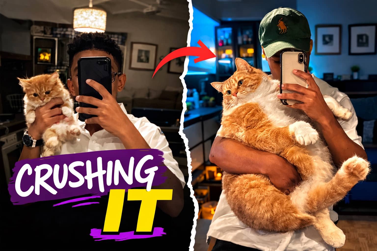 Before and after comparison of a small orange kitten growing into a very large cat.