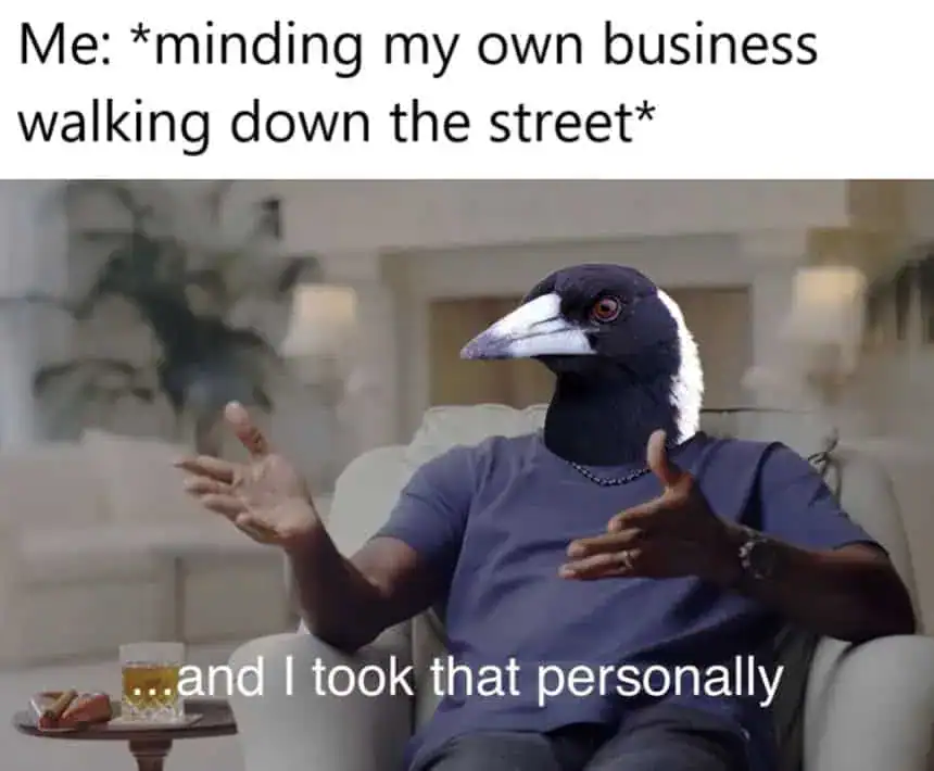 Michael Jordan meme with an Australian magpie head saying it took a street walker personally.