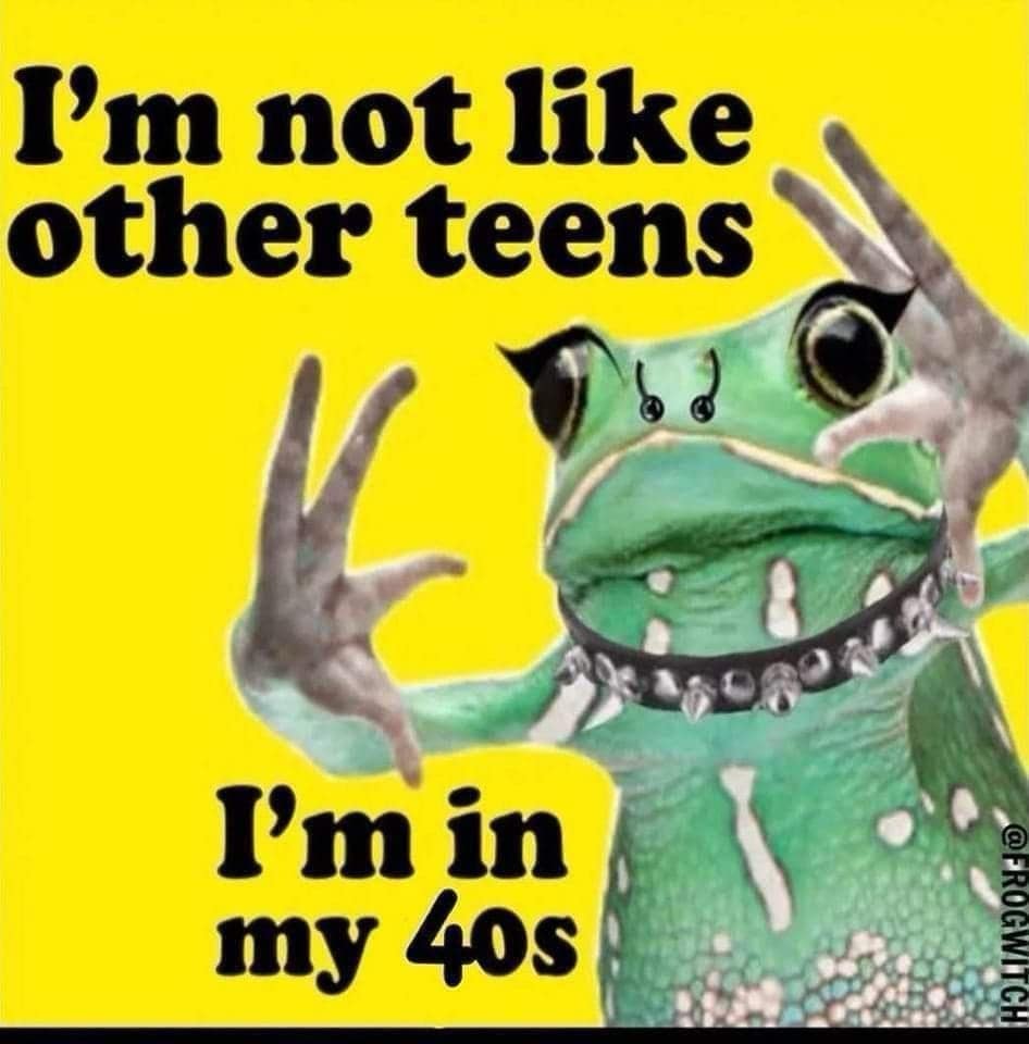 parody classic meme using an edited, punk-rock version of a frog striking a pose, poking fun at the "I'm not like other girls" trope by loudly declaring "I'm not like other teens, I'm in my 40s".