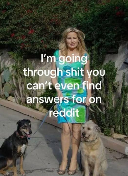 Jennifer Coolidge meme with text about having life problems that cannot be solved on Reddit.