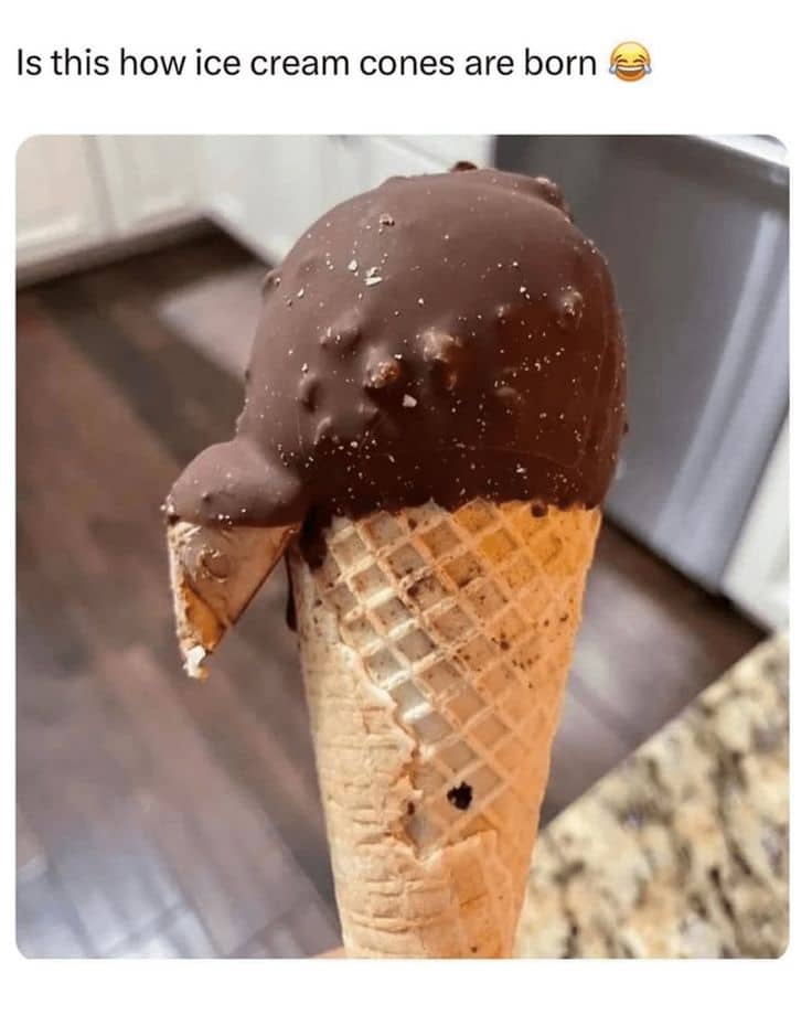 Chocolate dipped ice cream cone with a small piece of chocolate sticking out like a beak.