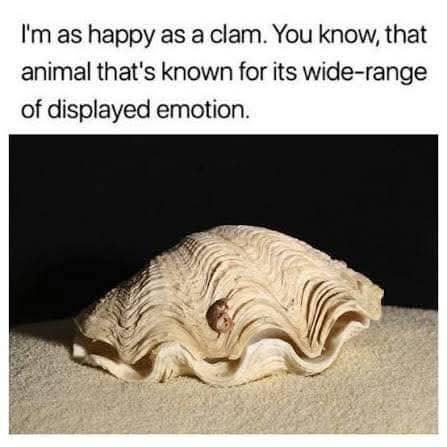 Large clam shell on sand with sarcastic caption about the animal's wide range of displayed emotion.
