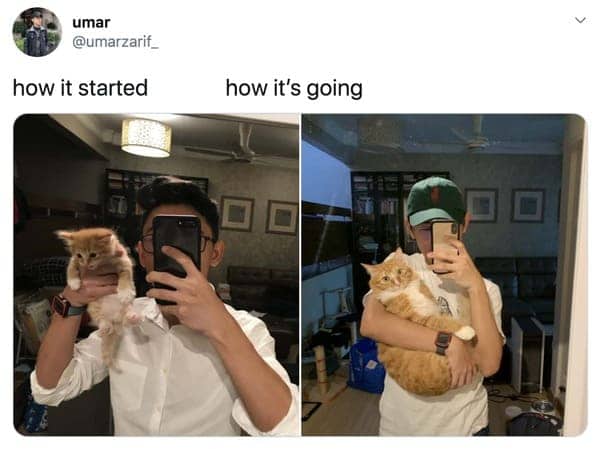 Mirror selfie of a man holding a tiny orange kitten next to him holding the full-grown cat.