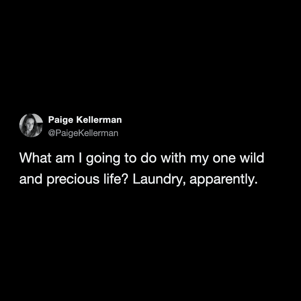 A dramatic laundry meme questioning what to do with one wild and precious life, only to sadly conclude that it will just be spent doing chores, a painfully accurate funny tweet about laundry.