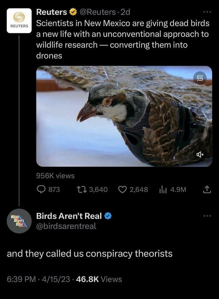 A legendary and hilarious meme showing the Birds Aren't Real account feeling completely vindicated by a real news headline about scientists turning dead birds into drones, perfectly wrapping up this meme dump.