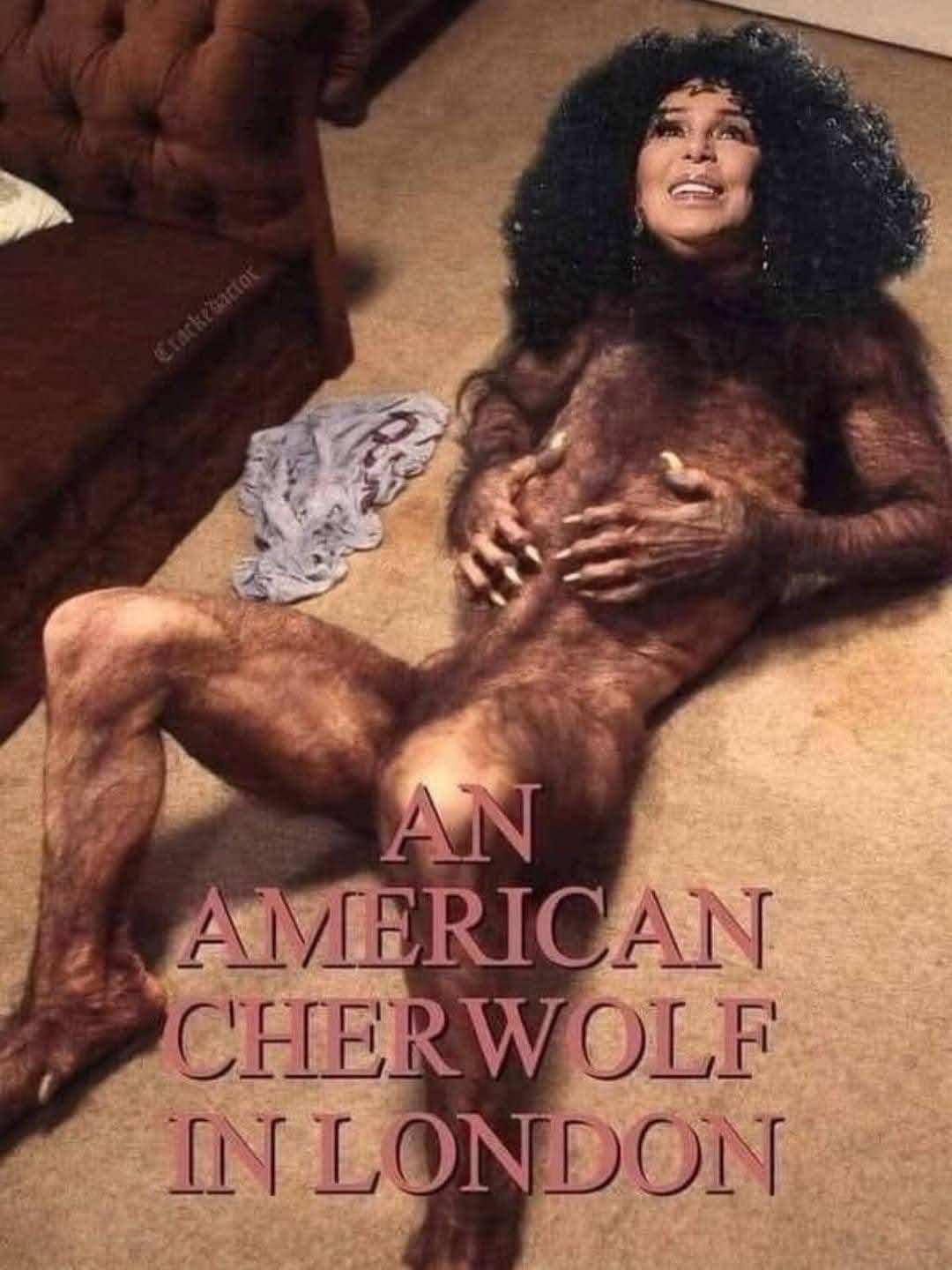 bizarre pop-culture pun showing a photoshopped image of the legendary singer Cher transformed into a hairy, feral werewolf. The text below her reads: "AN AMERICAN CHERWOLF IN LONDON," a high-octane twist on the classic 1981 horror film title.