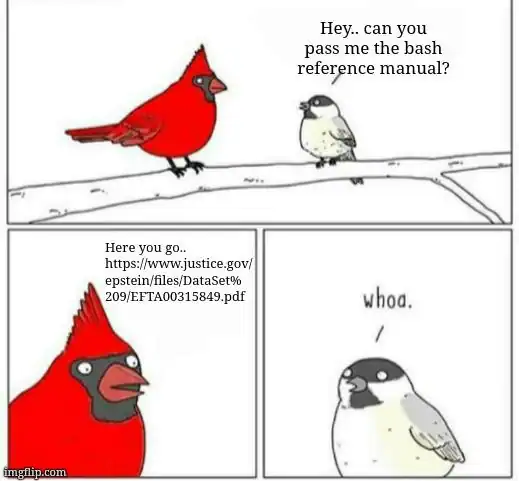 A bird comic programming meme showing a cardinal completely terrifying a smaller bird by providing a wildly complex bash reference URL.