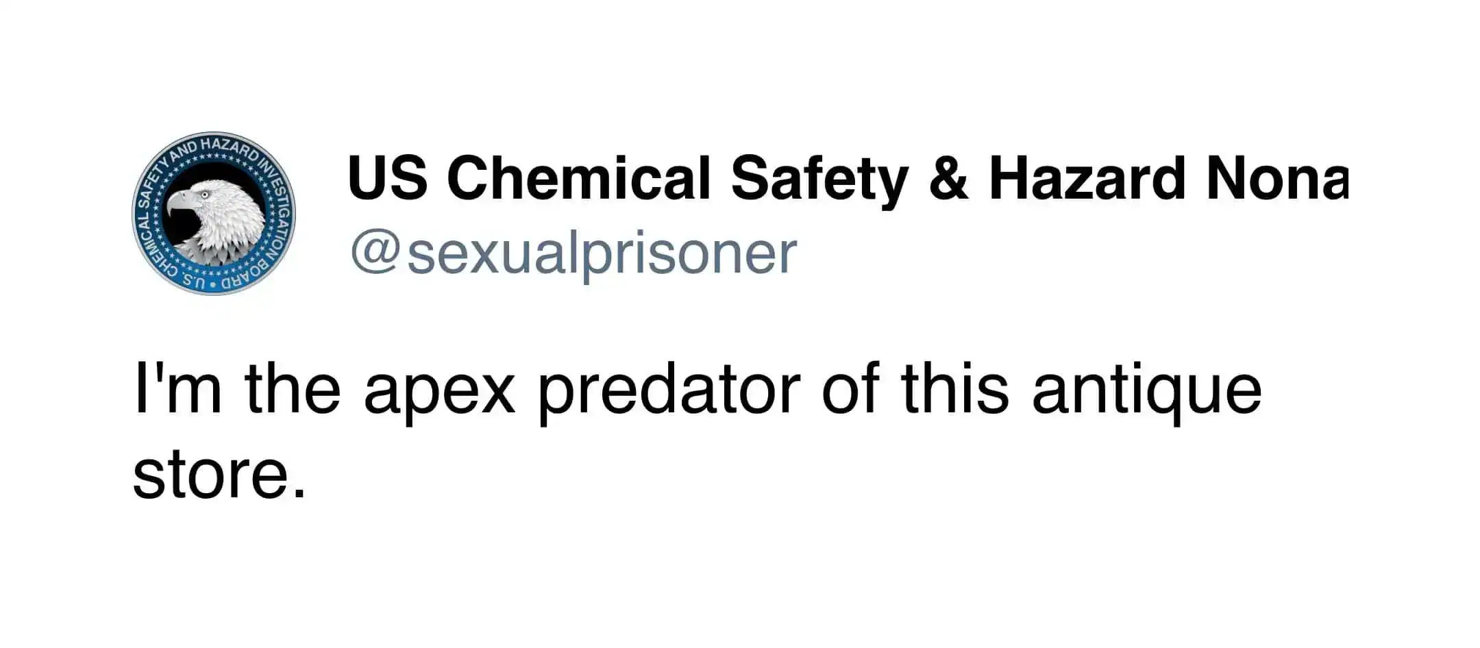 A bizarrely confident tweet claiming to be the apex predator of an antique store.