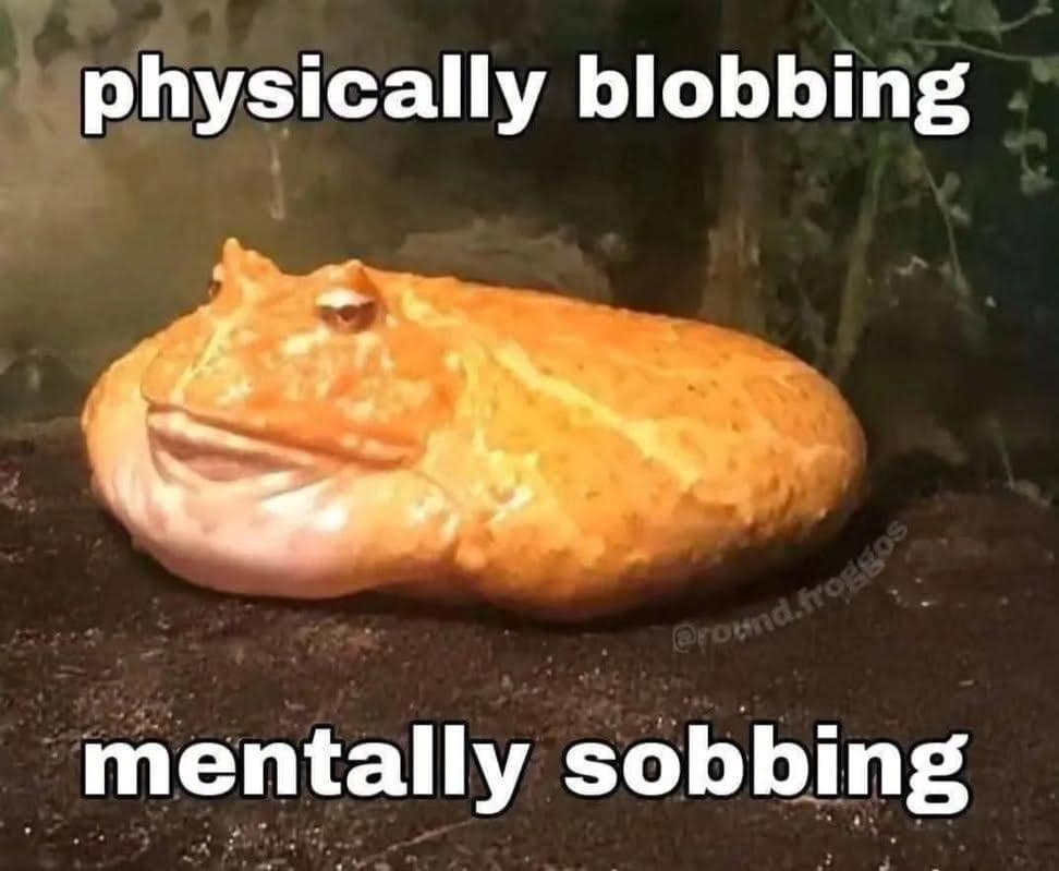 A funny classic meme featuring a wide, flat Pacman frog sitting on the ground with a blank stare. Bold white impact font text above and below the amphibian reads, "physically blobbing, mentally sobbing," perfectly capturing a state of stagnant despair.