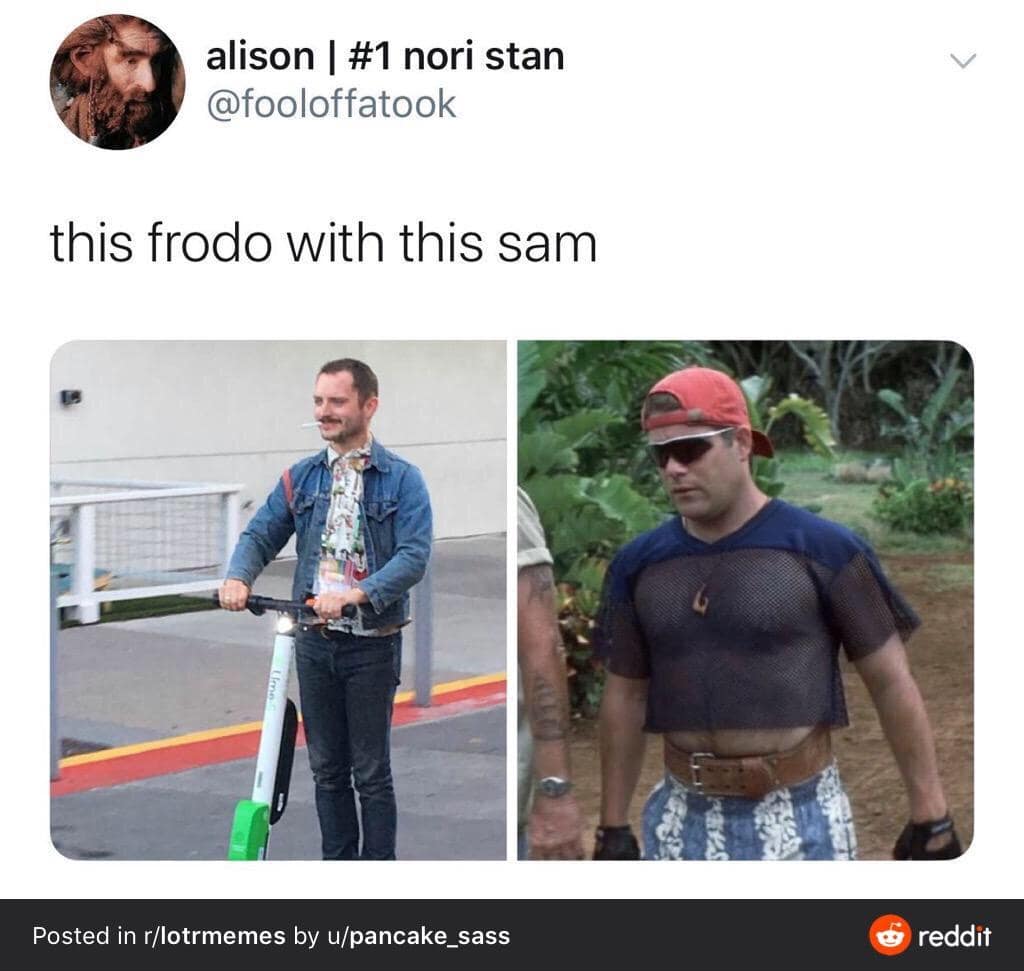 classic meme tweet from @fooloffatook featuring a side-by-side comparison of the Lord of the Rings actors in real life. On the left, Elijah Wood (Frodo) casual-cool on a Lime electric scooter; on the right, a buff Sean Astin (Samwise) in a 90s mesh crop top and headband, captioned: "this frodo with this sam."