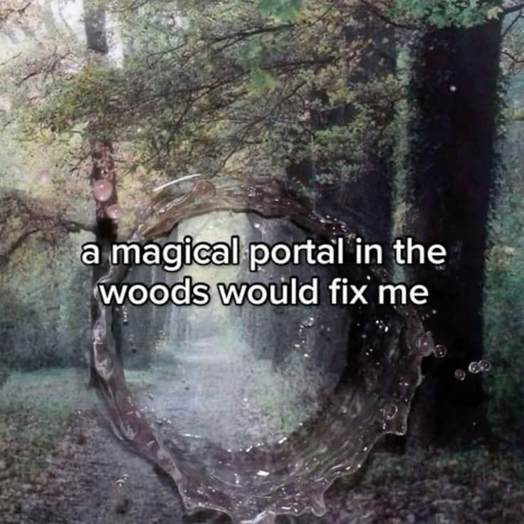 A serene yet desperate classic meme showing a sunlit path through a lush green forest. The text overlay reads: "a magical portal in the woods would fix me," expressing a common desire for total escapism.