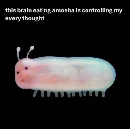 A surreal classic meme featuring a translucent, pink, caterpillar-like creature with a tiny, serene human face. The caption states: "this brain eating amoeba is controlling my every thought."