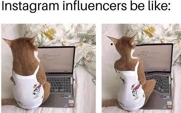An edit of a cat sitting at a laptop becomes a cursed image mocking social media trends. The second panel features "Instagram influencer" body warping, giving the cat an impossibly snatched waist and a massive, rounded backside.