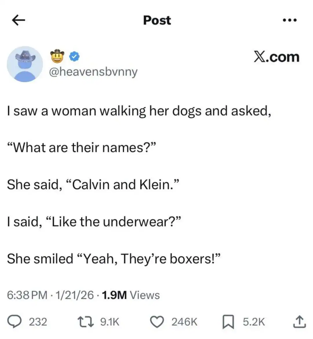dad joke post describing a woman walking two dogs named "Calvin and Klein." When asked if they were named after the underwear, she replies with the punchline: "Yeah, They’re boxers!"