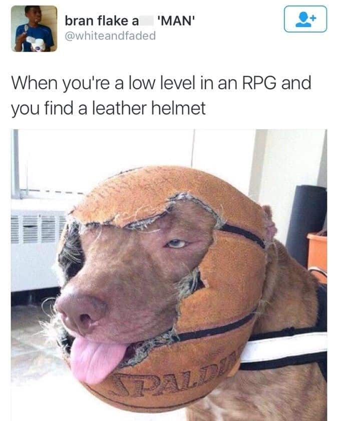 A hilarious funny rpg meme featuring a brown pit bull with its head poking through a hollowed-out basketball, which is resting on its neck like a helmet. The text above reads: "When you're a low level in an RPG and you find a leather helmet," perfectly capturing the scruffy, mismatched aesthetic of early-game armor.