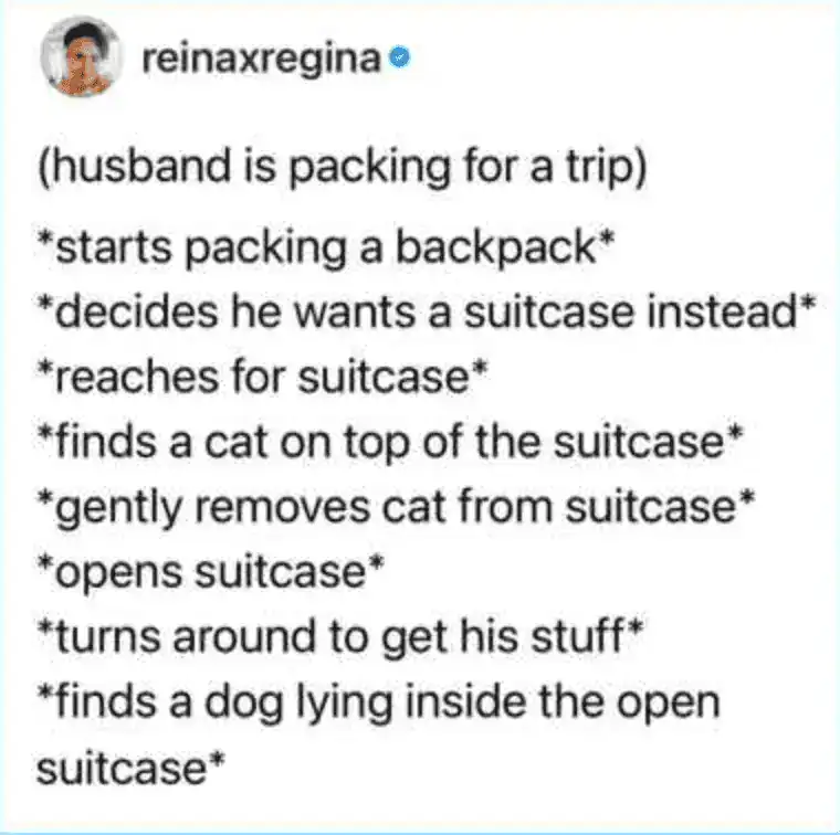 relatable pet meme tweet from reinaxregina detailing the struggle of packing for a trip. After removing the cat from the top of the suitcase, the husband turns around only to find the dog has already claimed the open spot inside.