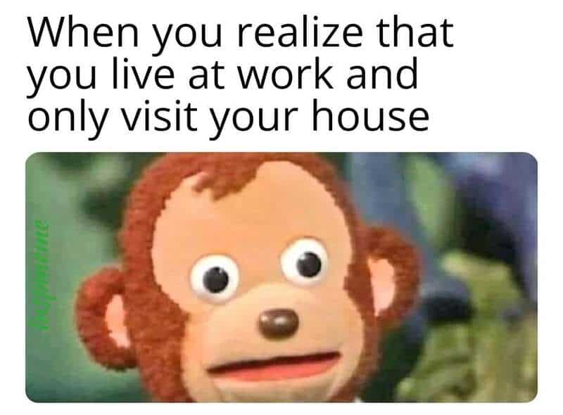 The classic awkward puppet monkey meme repurposed as a funny work meme. The text reflects on a warped work-life balance: "When you realize that you live at work and only visit your house."
