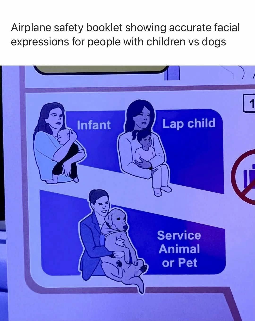 A diagram from an airplane safety booklet comparing how to hold an infant, a lap child, and a service animal. The women holding the children look exhausted and grim, while the woman holding the dog is illustrated with a bright, genuine smile, captioned as an accurate