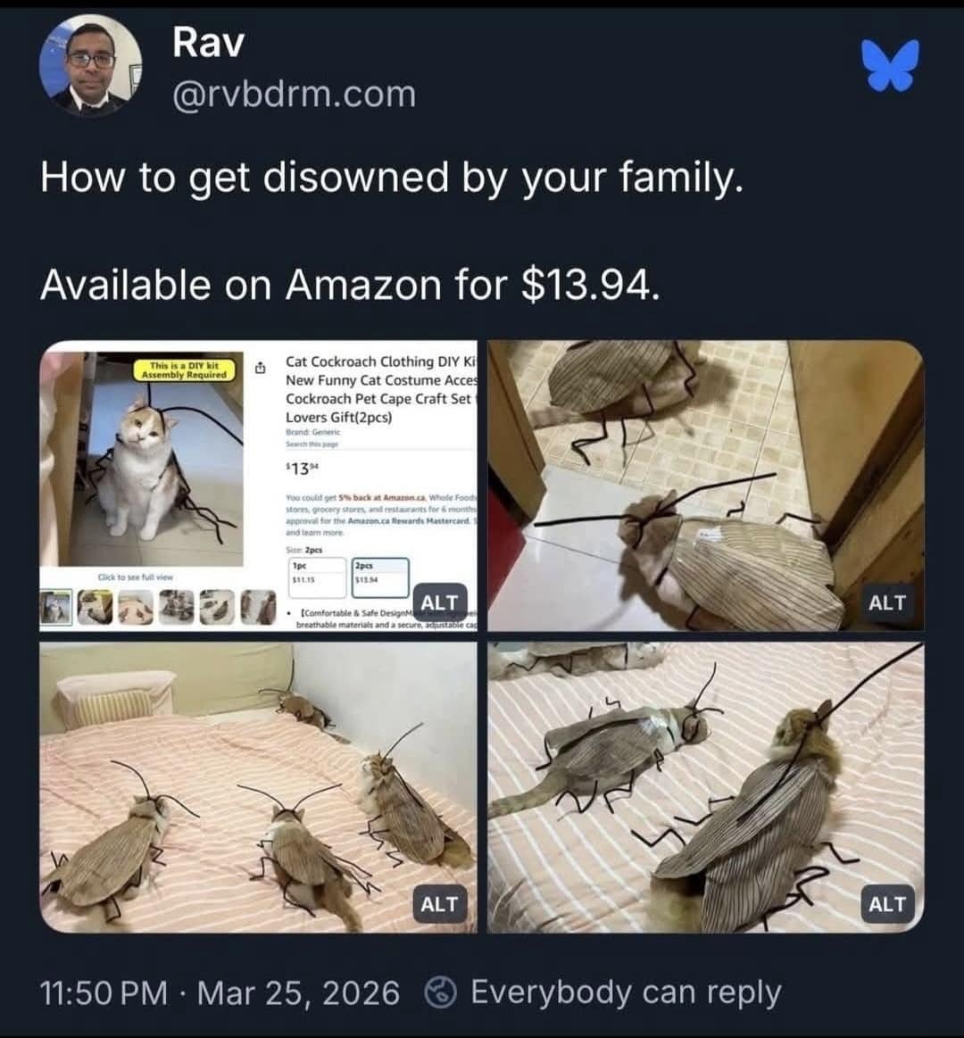 funny meme screenshot of a tweet showing a cat wearing a hyper-realistic cockroach costume kit. The cat looks confused while sporting six long, spindly legs and antennae, with the caption suggesting the $13.94 Amazon purchase is a surefire way to get "disowned by your family."
