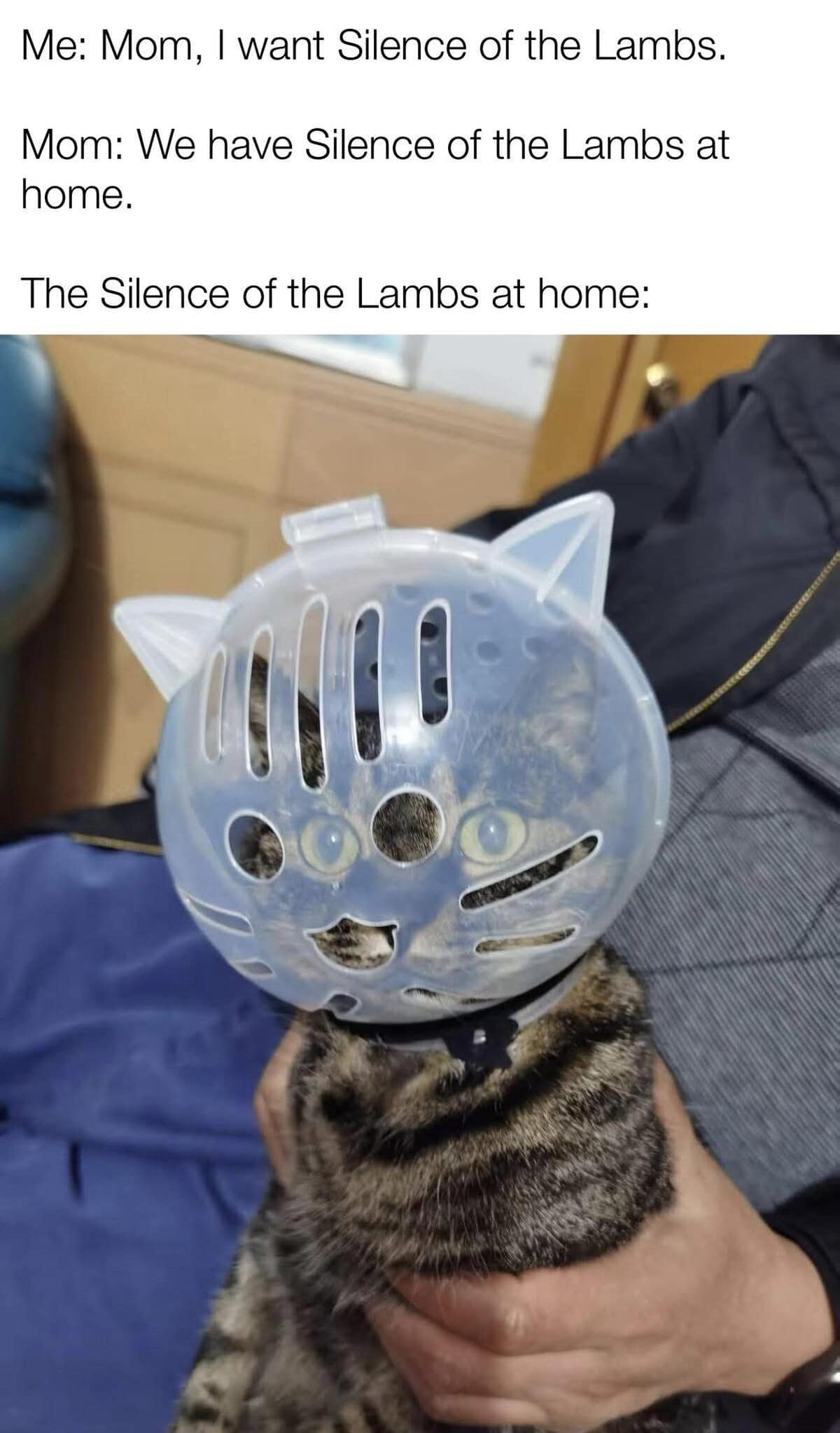 A "Silence of the Lambs at home" funny meme showing a tabby cat wearing a clear plastic Hannibal Lecter-style muzzle, but with added cat ears and a cute, happy smiley face printed on the front.