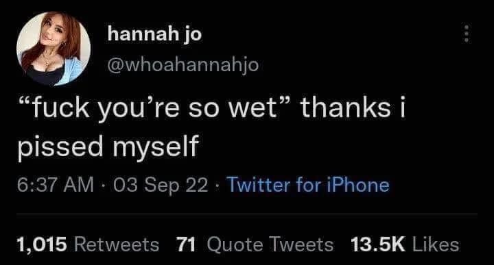 blunt and hilarious meme tweet from @whoahannahjo that subverts a common sexual compliment. The text reads: "‘f**k you're so wet’ thanks i pissed myself," capturing the self-deprecating vibe of the meme dump.