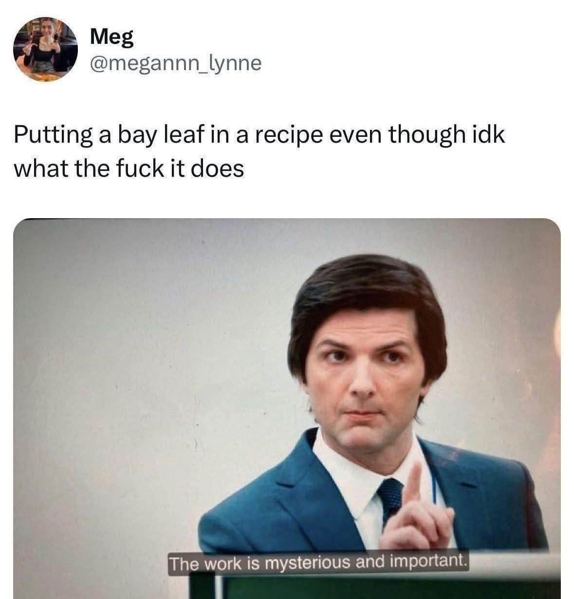 A hilarious meme from user Meg featuring a still of Adam Scott as Mark Scout from the show Severance. The text jokes about the blind faith required when adding a bay leaf to a recipe despite having no idea what it actually tastes like, using the show’s quote: "The work is mysterious and important."